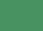 Heyda Board Leaf Green A4 300gsm (Pk 50 Sheets)