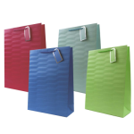 Tallon Gift Bag "Brights" X-Large Size. 4 Asstd Colours (Outer 12)