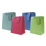 Tallon Gift Bag "Brights" Medium Size. 4 Asstd Colours (Outer12)
