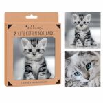 Tallon Note Cards "Pets" 8 Cards Per Pack. 135x135mm (Outer 12)