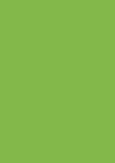 Heyda Card 48x68cm Sheet 340gsm Neon Green (Pk 10 Sheets)