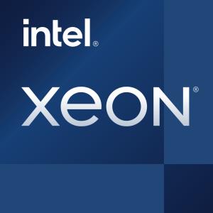 Xeon Processor E-2456 6 Core 3.3 GHz 18MB Cache - Tray