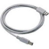 12ft Ibm USB Interface Cable Rohs