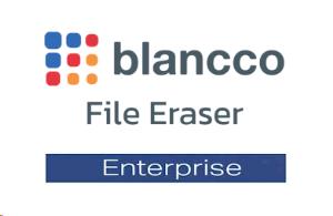 Blancco File Eraser Enterprise Edition - Subscription licence (3 years) - 1 asset - volume - 500-999