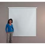 Budget Projection Screen -  Square Format - 125cm (w) - Wall/ceiling Screen - 210301e